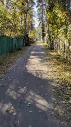 Осень, посёлок Ильинский, листья