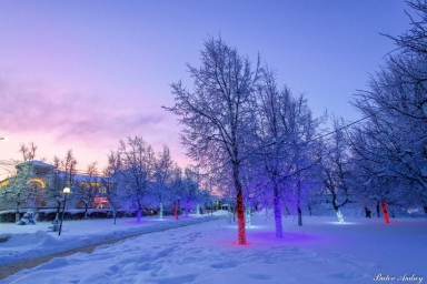 Зима во Владимирской области #фото 5