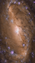 Изображение центральной части галактики NGC 2903. Свет от неё преодолевал пространство 30 миллионов лет, после чего мы смогли ув