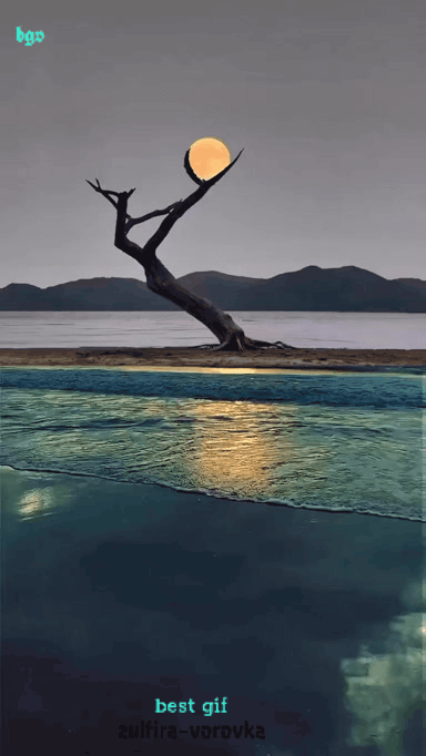 Луна, оранжевая, дерево, водоём, гифка