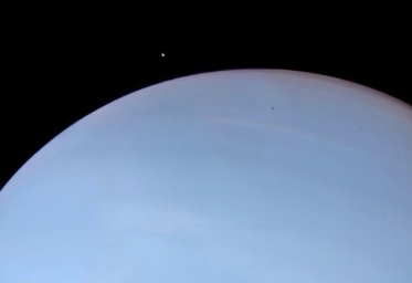 Деспина — внутренний спутник планеты Нептун