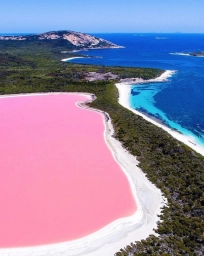 Розовое озеро. Фото