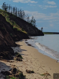 Берег, пляж, песок. Фото с телефона