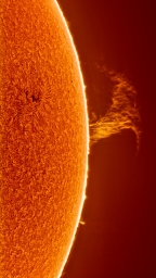 Солнечное пятно и парящий протуберанец на Солнце © pomarine (reddit).