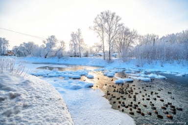 Зима во Владимирской области #фото 7