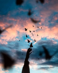 Бабочки (летят вверх), руки вверх за бабочками