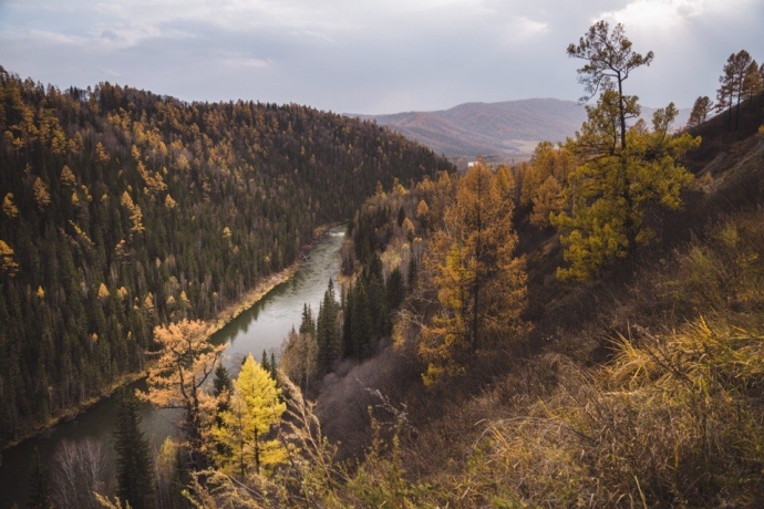 Река Кокса, Горный Алтай, красота, Россия