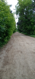 Просёлочная дорога рядом с пгт Ильинский