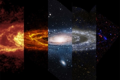 Галактика Андромеды в различных спектральных диапазонах: радио, инфракрасном, видимом, ультрафиолетовом и рентгеновском.