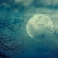 sky_moon_branches_586696_3495x2395