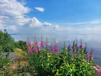 Зеленогорск, Финский залив, фото, Россия