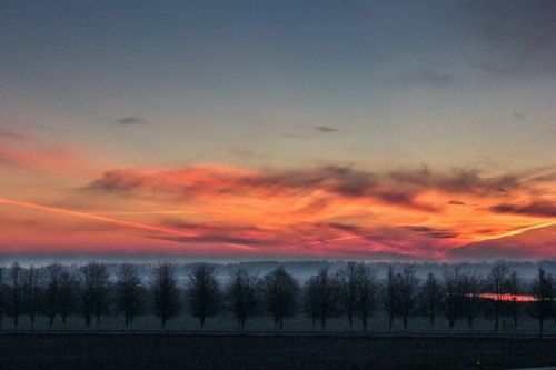 Небо, деревья, красота, атмосферно