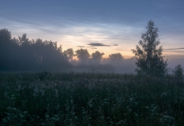 Кировская область, Вятский край, красота, туман