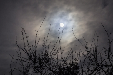 Мрачная Луна на фоне через слоистые облака.      Сфотографировано на Кэнон 1200д
