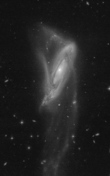 Чёрно-белые взаимодействующие галактики в обработке Judy Schmidt, AM 0728-664