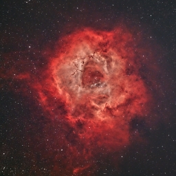 NGC2237 Rosette nebula   Начал снимать в начале декабря 2021