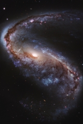 Искаженная галактика NGC 2442 из созвездия Летучей Рыбы. Однажды она столкнулась с другой галактикой и это событие разрушило пер