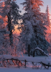 Снежная Россия, фото, красота