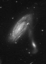 Чёрно-белые взаимодействующие галактики в обработке Judy Schmidt, AM 2240-892