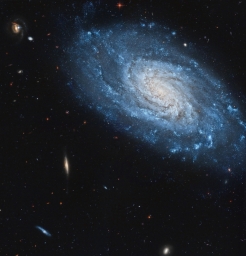 Cпиpaльнaя гaлaктикa NGC 3370 в coзвeздии Львa