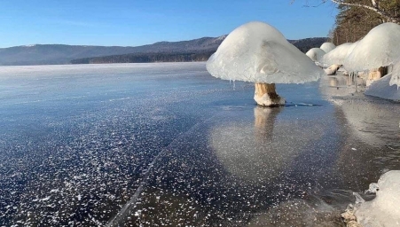 На озере Тургояк в Челябинской области выросли снежные грибы