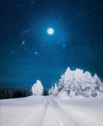 Зима, Луна, Снег, Зима, Ночь, Красота