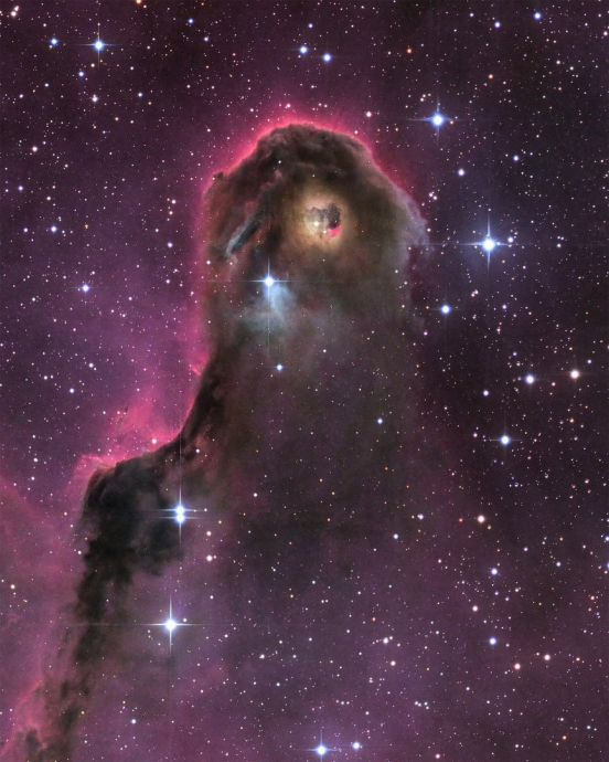 IC 1396A    Часть огромной эмиссионной туманности