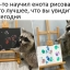 СУПЕР, МЕМ, ЕНОТ, КЛАСС, МЕМЫ