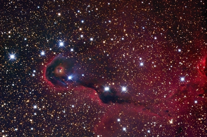 Туманность Хобот Слона - это яркая часть эмиссионной туманности и молодого звёздного скопления IC 1396 в созвездии Цефея. Объект