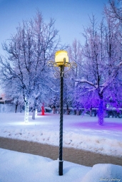 Зима во Владимирской области #фото 3