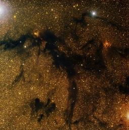 Темная поглощающая туманность LDN 673, находящаяся на расстоянии 600 световых лет от Земли.