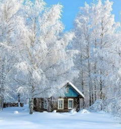 Снежная зима, домик в деревни, снег на деревьях, малое разрешение
