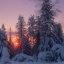 Россия, снежно, лес. Красиво. Зима. Фото