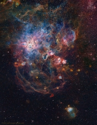 Великолепный снимок туманности Тарантул от астрофотографа Энди Архона
