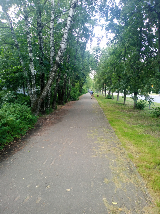 Город Жуковский дорога лето красиво, деревья, часть природы