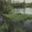 Очень красивая фотография в России, лес, озеро, природа