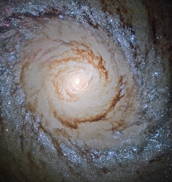 Спиральная галактика M94 с кольцом звёздообразования вблизи центра.