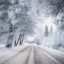 Зима, снег, дорога, деревья