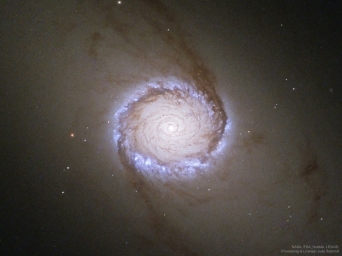 NGC 1512 — спиральная галактика с перемычкой в созвездии Часы, на расстоянии около 30 миллионов световых лет от Земли. Открыта в