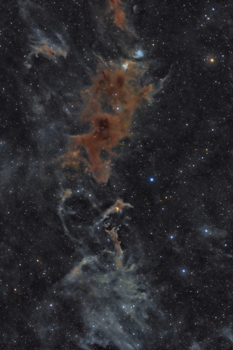 Темные облака космической пыли LBN 552 и LDN 1228 в кадре Фрэнка Рогина
