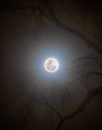Свежий HDR снимок полной Луны от Rami Ammoun