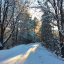 Зима, снежно, дорога через лес. Красиво.