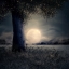 Красивая Луна, Арт фото, фотки с луной