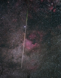 Впечатляет! супер  Яркий Лирид пролетает на фоне туманности NGC 7000 «Северная Америка».