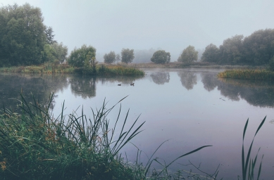 Красивое туманное утро в России, над озером, леса вокруг