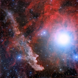 Бело-голубой сверхгигант Ригель на фоне области звездообразования в созвездии Ориона и туманности IC 2118.
