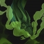 Зелёные драконы арты рисунки