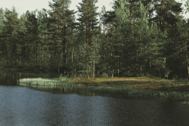 Очень красивая природа в России, озеро, лес