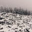 Айфон 6 эс фотки, снег, красиво, качественно