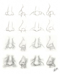 Рисуем последовательно нос